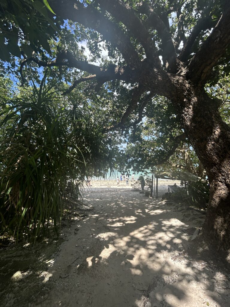 カイジ浜